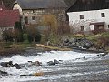 foto Zajíc28